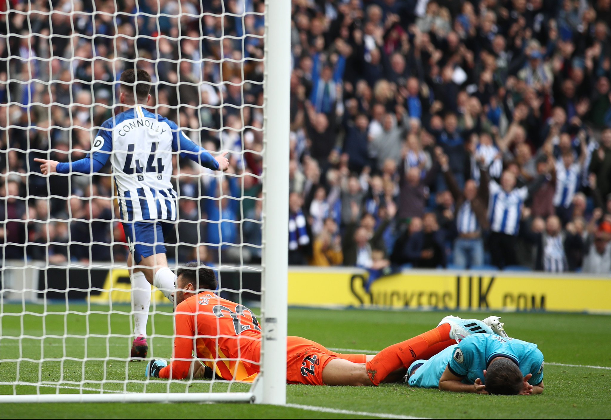 场馆设计的 场馆设计的